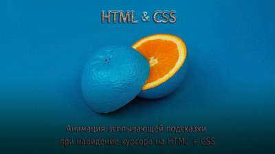 Анимация всплывающей подсказки HTML + CSS