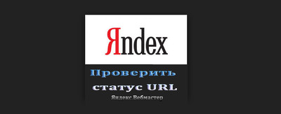 Проверить статус ссылки Яндекс.Вебмастер