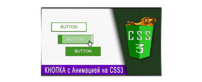 Анимационная кнопка с помощью CSS