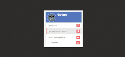 Мини профиль на CSS для сайта uCoz
