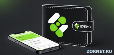 Кошелек ЦУПИС: как зарегистрироваться